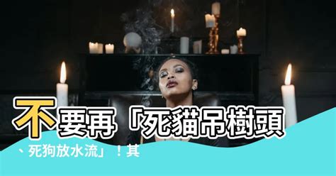 放水流意思